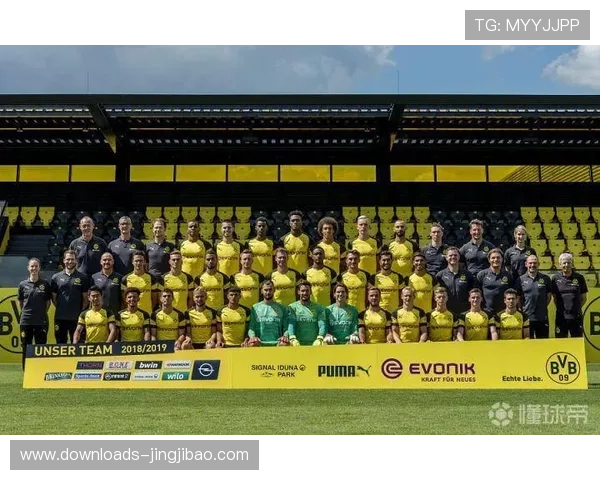 德甲反歧视运动：赛场行为准则